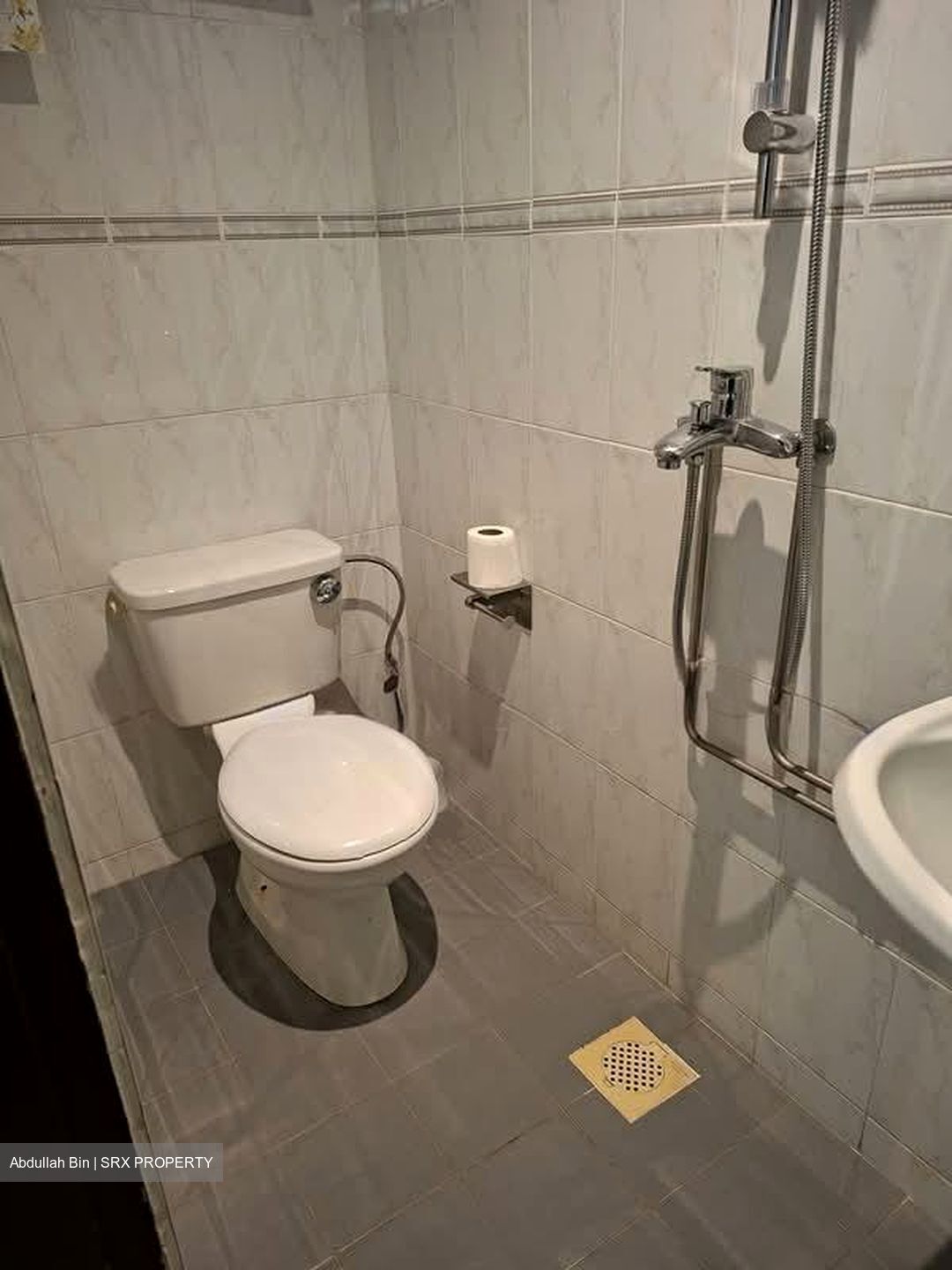 Bukit Timah Road (D21), Apartment #590810411
